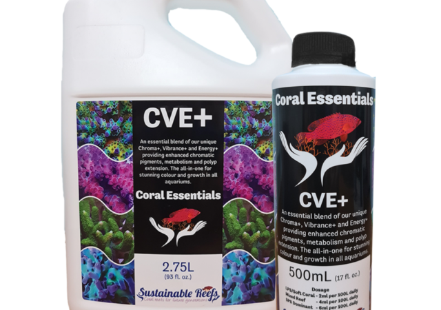 珊瑚Essentials CVE+