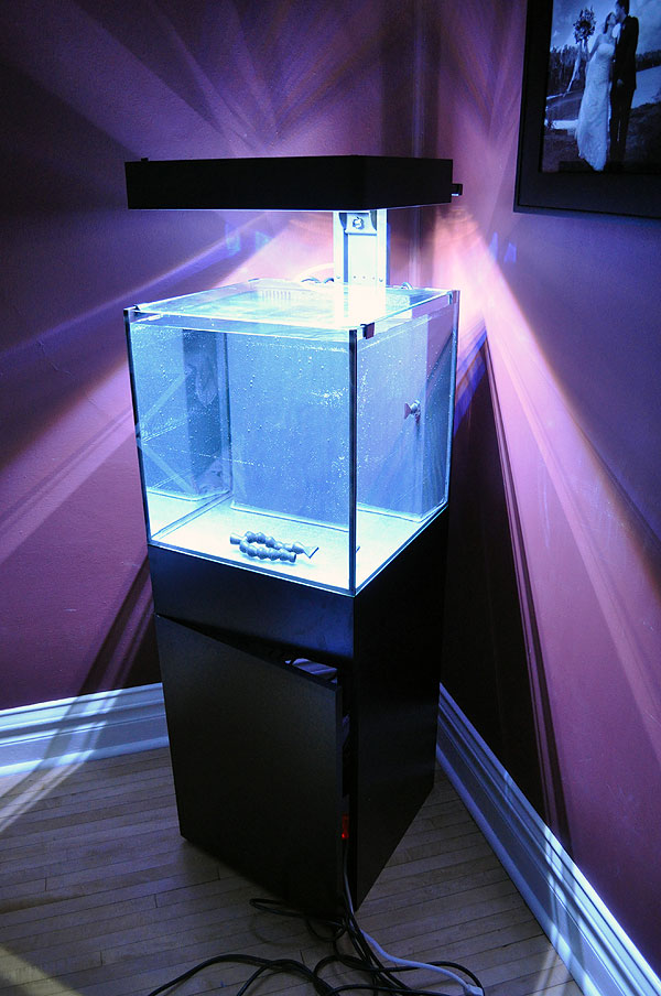 生态氧化18英寸，25加仑LED水族馆系统，正在测试水。