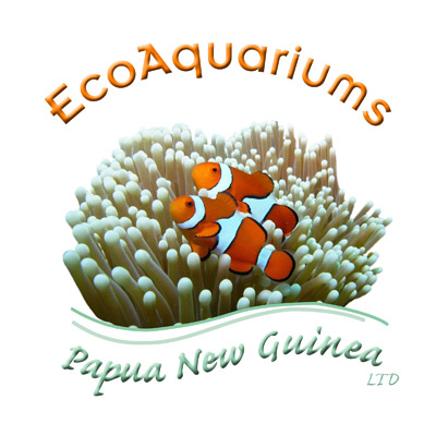 Ecoaquariums PNG Ltd徽标