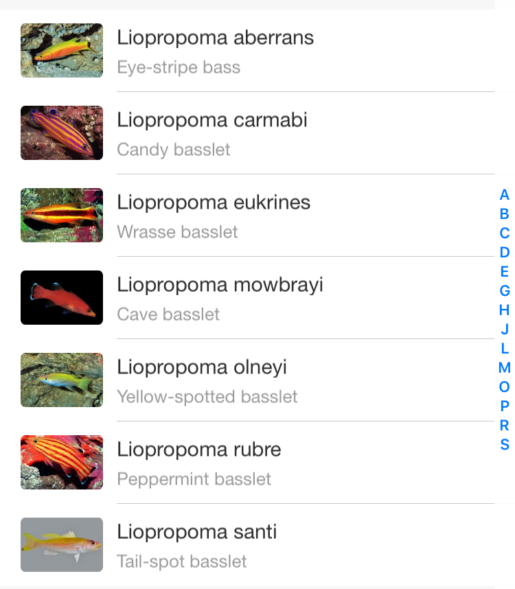 liopropoma-caribbean