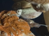 cuttlefish-mating-2