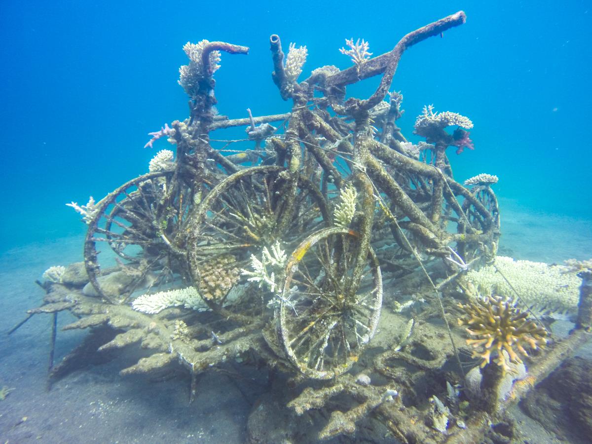 自行车雕像Permuteran湾-Reefdivers.io照片Nicole Helgason